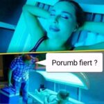 ferestre-din-sticla
